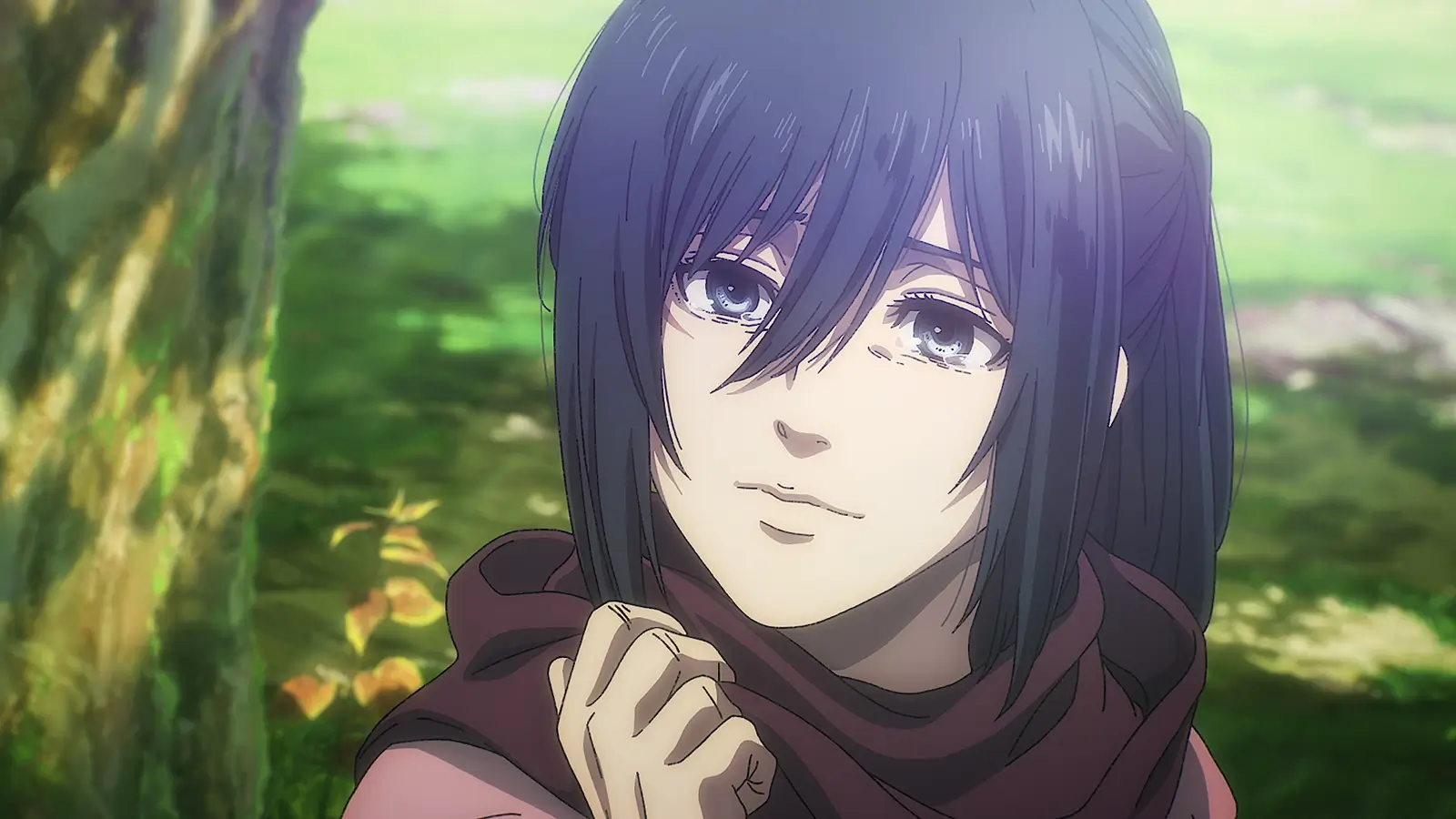 Mikasa Ackerman — Attack On Titan