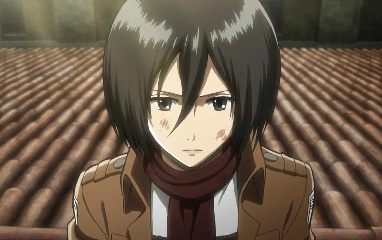 Mikasa Ackerman — Attack On Titan
