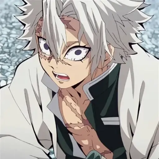 Sanemi Shinazugawa