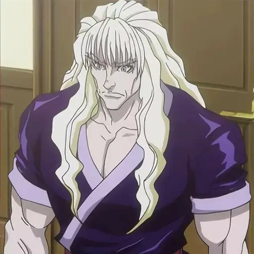 Silva Zoldyck